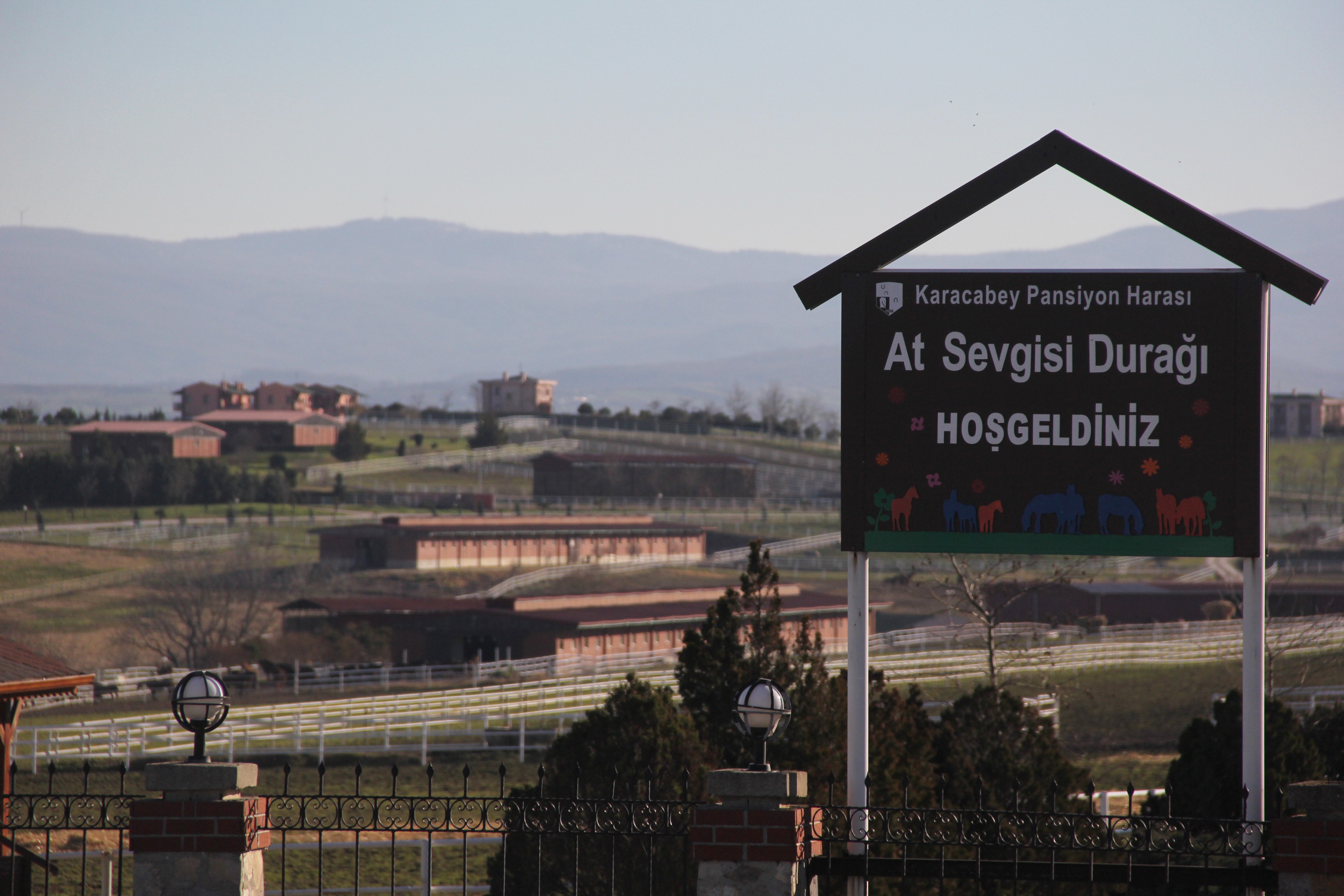 Türkiye’nin en değerli atları Bursa’da yetiştiriliyor!