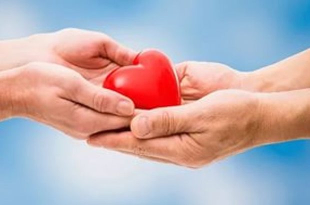 Bursa Uludağ Üniversitesi organ naklinde üçüncü!