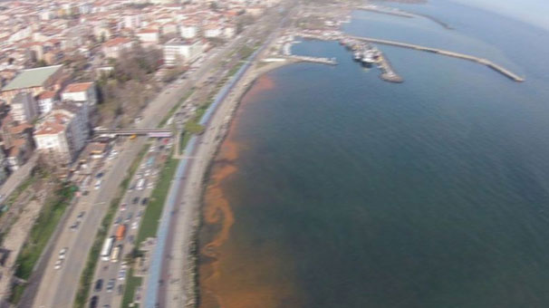 THY pilotu, denizi kirleten gemiyi ihbar etti