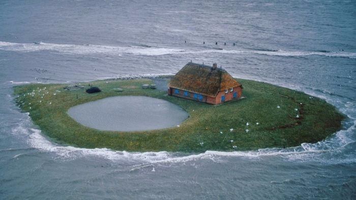 Hallig adalarında yaşam var