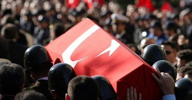 Yine kahrolduk: 3 şehit