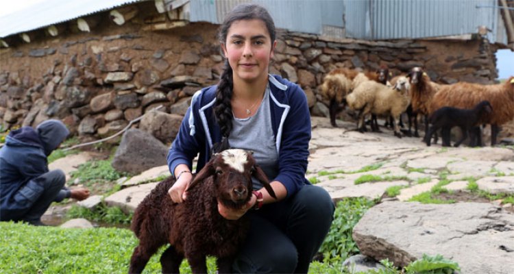 İki odalı evden Türkiye birinciliğine