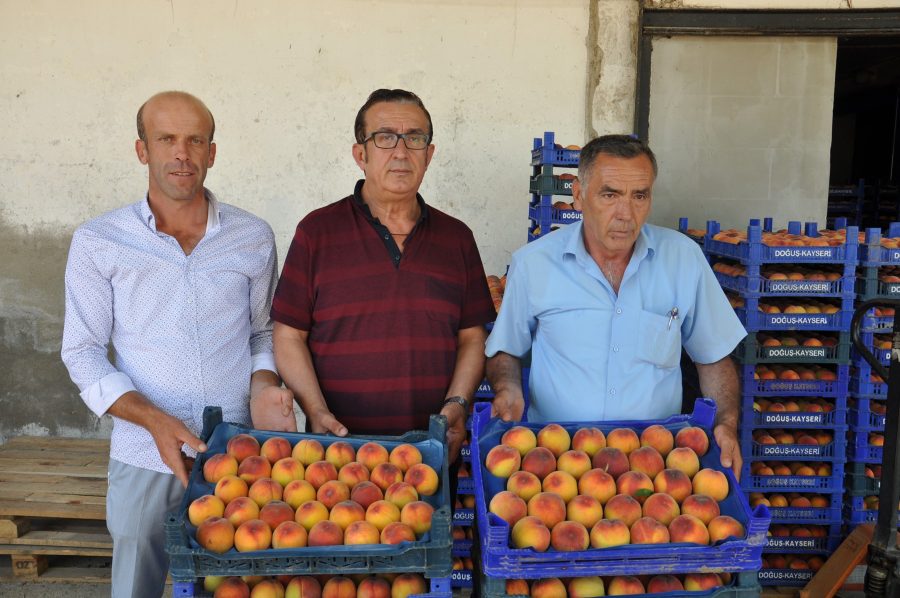 Şeftali çiftçiyi memnun etmedi