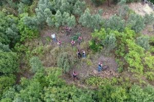 Jandarma drone ile tespit etti
