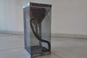 Otomobil kullanırken yılan dolandı