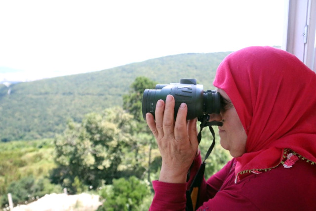 Ormanlar Ayda teyzeye emanet