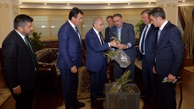 Bursa|daki dolu mağdurlarına müjde