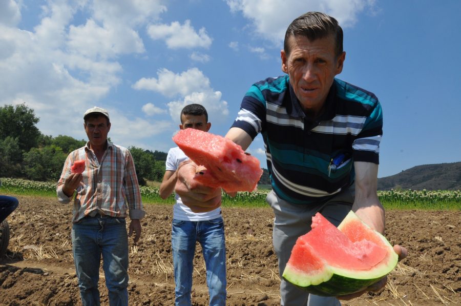 İnegöl karpuzda iddialı