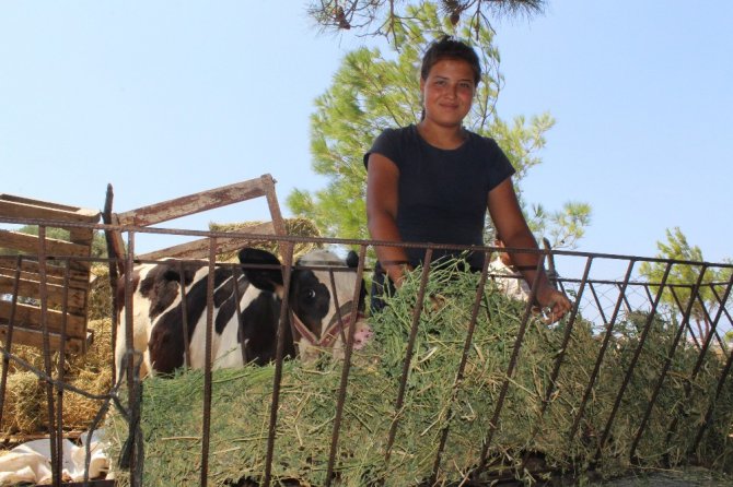 Tek isteği veteriner olmak