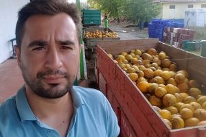 Kavun çiftçinin yüzünü güldürdü