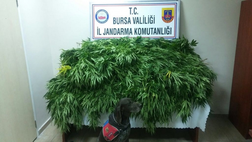 Jandarmadan suç makinesine baskın