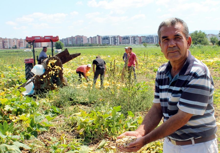 Üreticinin yüzünü güldürdü