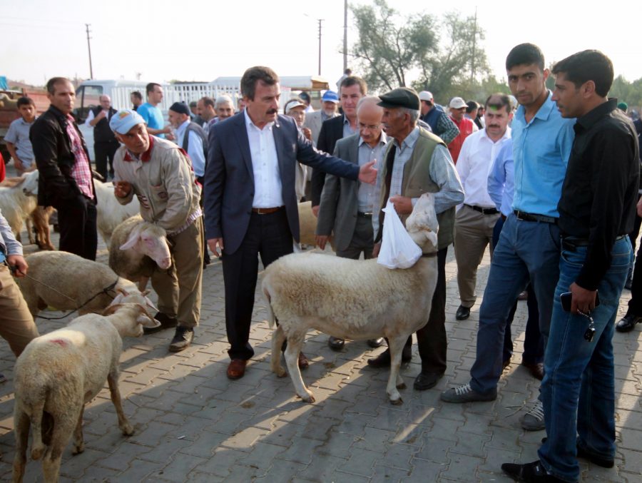 Yenişehir Kurban Bayramı|na hazır