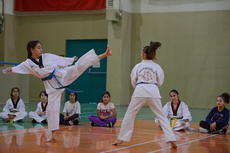 Yıldırım|da çocuklara ücretsiz taekwondo