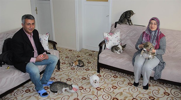Sokak kedilerine evlerini açtılar