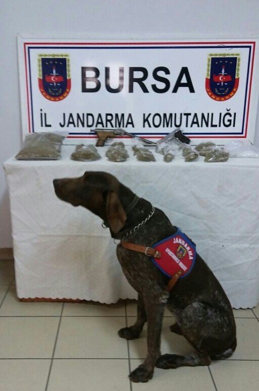 Uyuşturucu tacirlerine temizlik