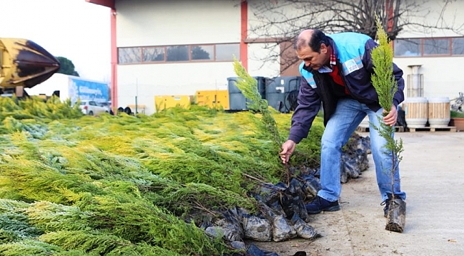 Nilüfer'in geleceği için 25 bin fidan dağıtıldı