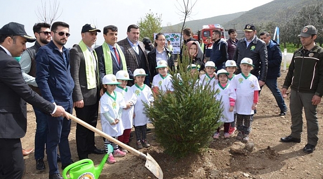 Afrin şehitleri için hatıra ormanı