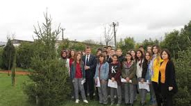 Başkan Çelik'e ağaç jesti