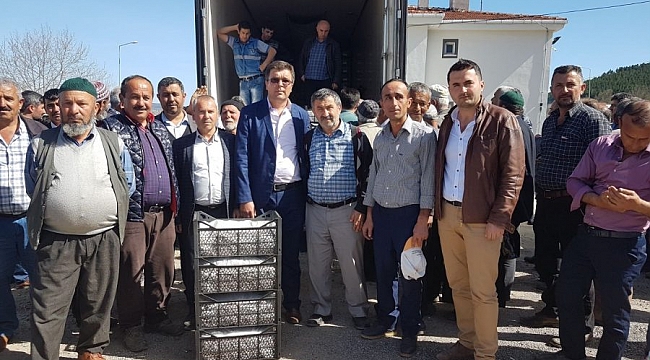 Büyükorhan'da