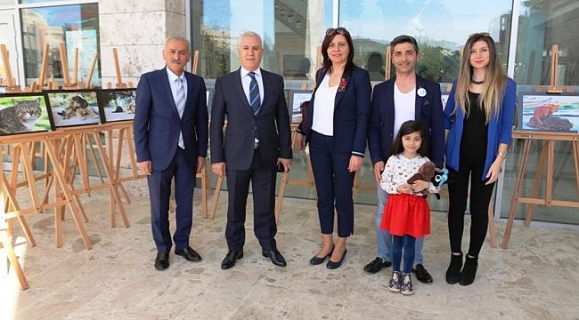 Can dostlar için anlamlı sergi