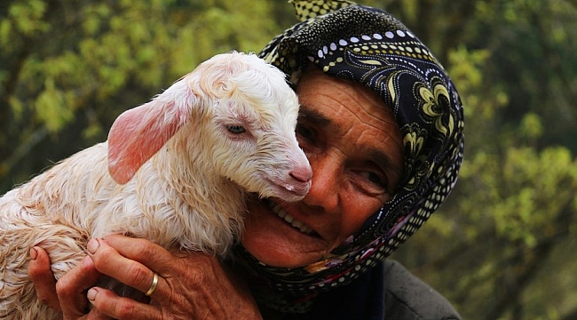 Mutluluğun fotoğrafı İznik'te çekildi