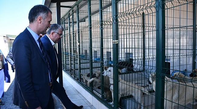 Yeni hayvan barınağı için geri sayım