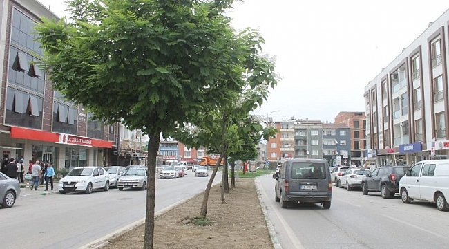 Gürsu'nun vitrinine yaz ışıltısı