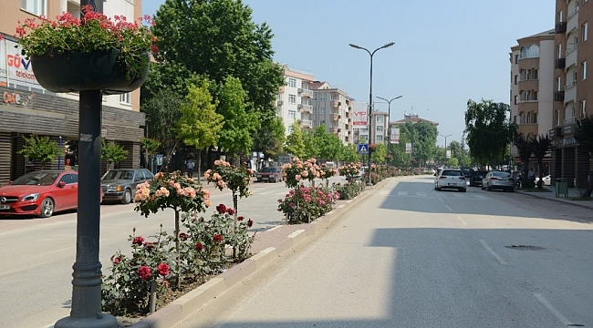 İnegöl caddeleri çiçek açıyor