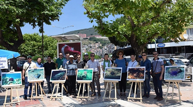 Gemlik'te 'dip' temizliği