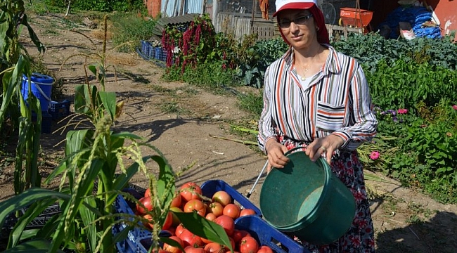 İznik'te sıradışı bir başarı öyküsü