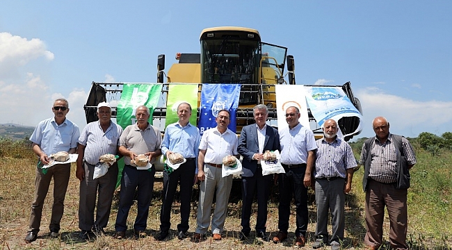 Hasat bitti alım başladı