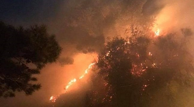 Hatay'da yangın dehşeti