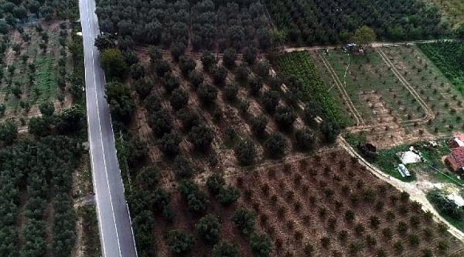 İznik'te Kraliçe Nikaia heyecanı