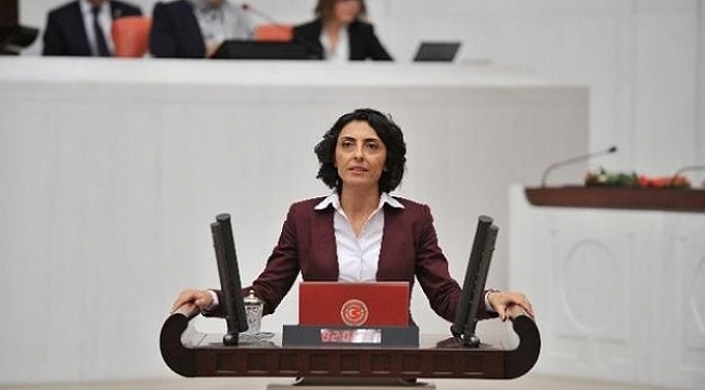 Koku sorunu meclise taşındı