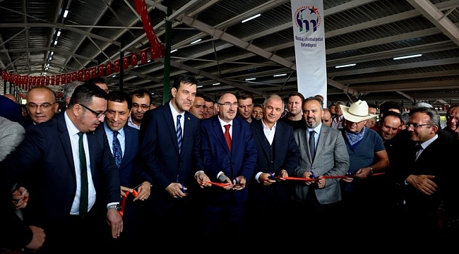 Mustafakemalpaşa'da havyan pazarı açıldı