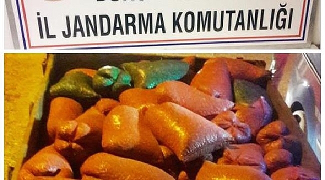 Jandarma'dan Midye operasyonu