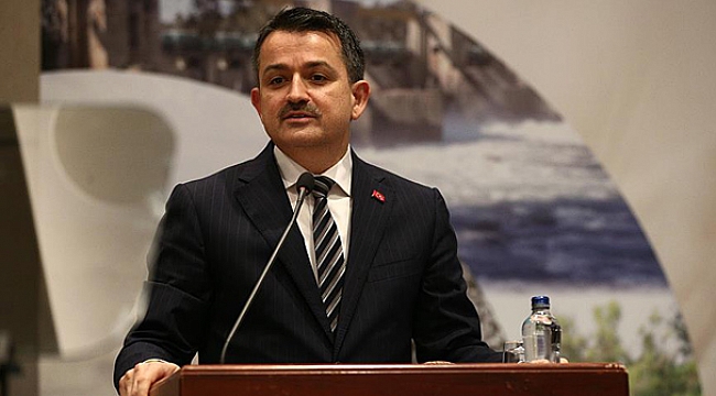 Hayvanlara şiddet uygulayanlara yaptırım geliyor