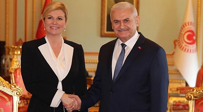 Meclis Başkanı Yıldırım, Kitaroviç ile görüştü