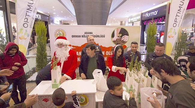 Yeni yıl için 2019 adet fidan dağıtıldı