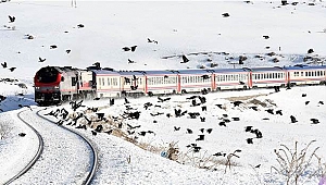 Doğu Ekspresi'ne alternatif geliyor!