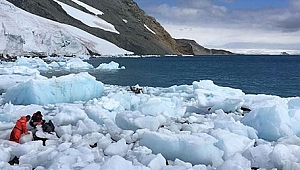 Türkiye'den Antarktika'ya geçici bilim üssü