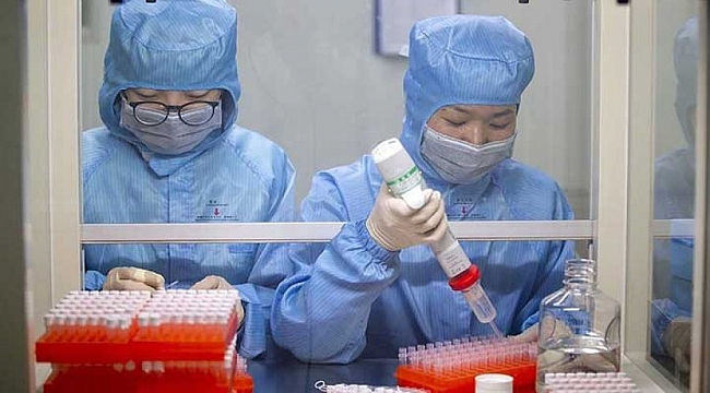 Corona testinin hatalı çıkma ihtimali var mı?