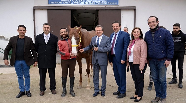 UÜ'de yeni tay sevinci