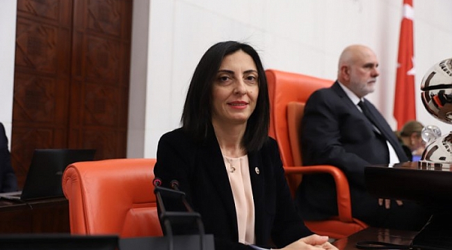 Bursa'nın bitmeyen restorasyon çalışmaları meclis gündeminde