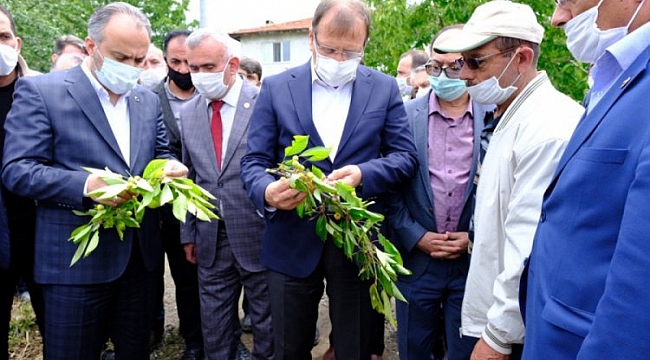 Çavuşoğlu'ndan çiftçiye destek