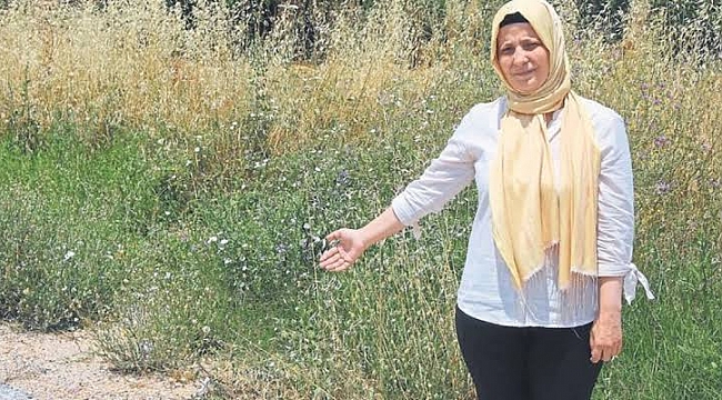‘Kadın cinayetleri artık son bulsun’