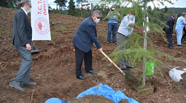 Orhaneli'de sağlık çalışanları için hatıra ormanı