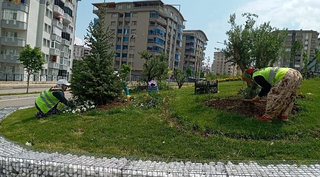 Yaz renkleri Yıldırım parklarını süslüyor