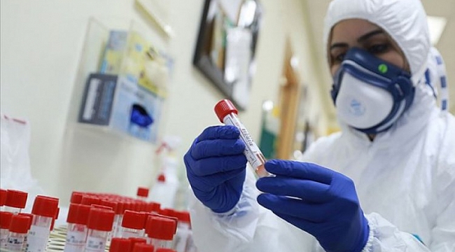 Avustralya'da 333 yeni Kovid-19 vakası